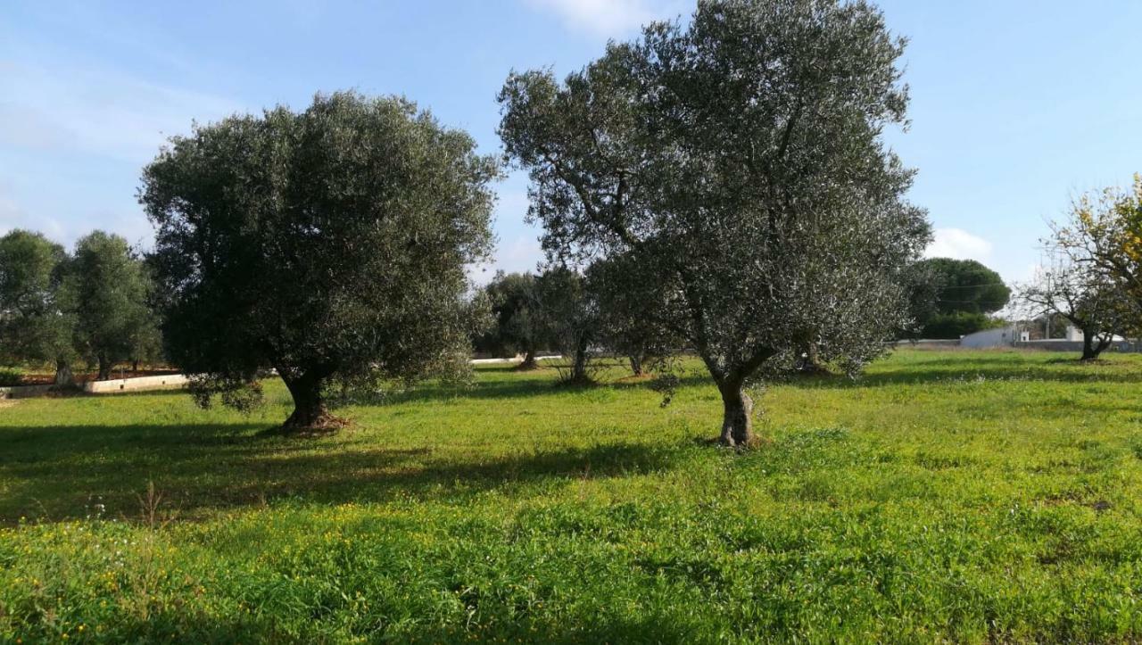 Villa Degli Ulivi Ceglie Messapica Dış mekan fotoğraf